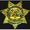 WYOMING HIGHWAY PATROL PIN MINI BADGE PIN